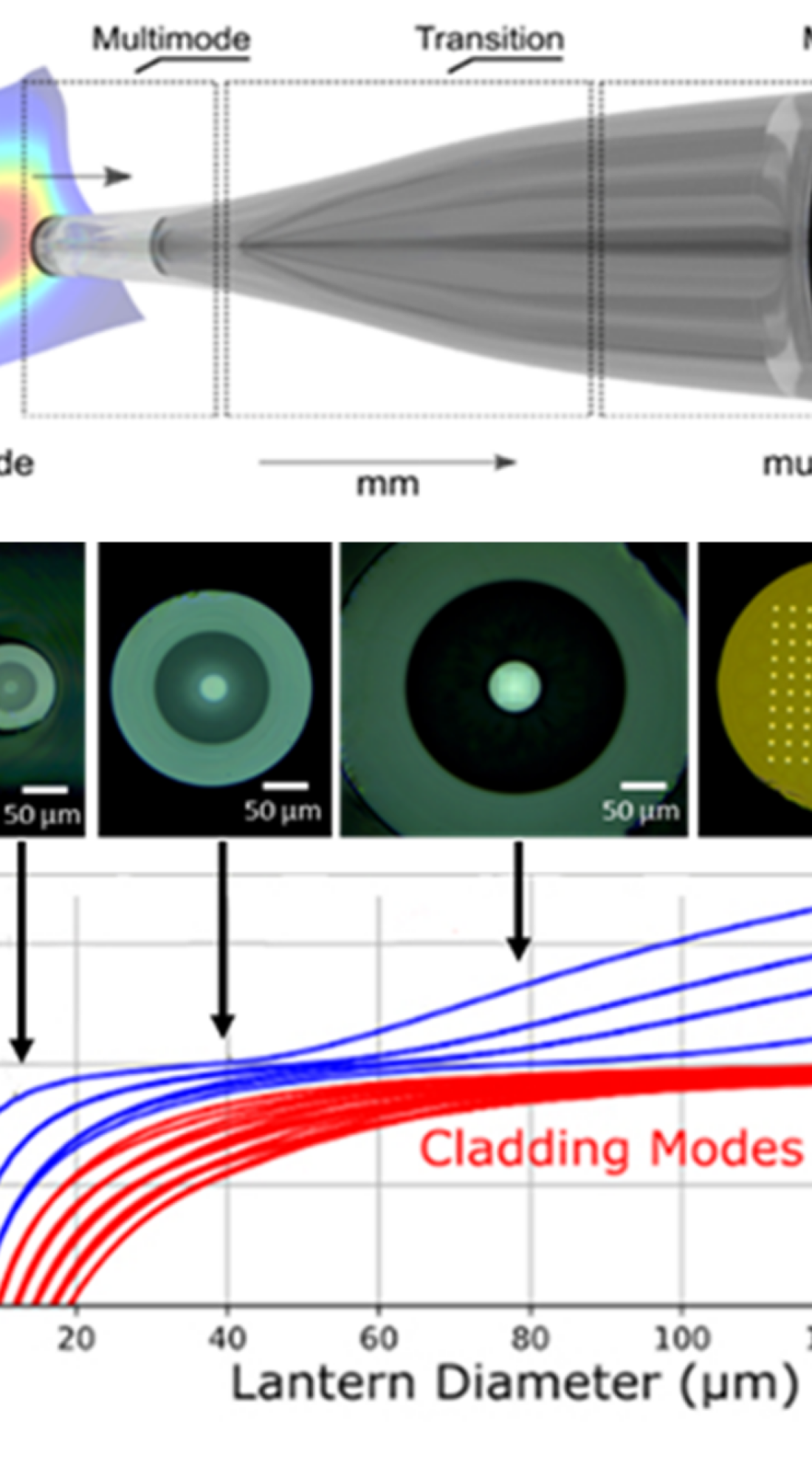 Photonic_lantern_sectional