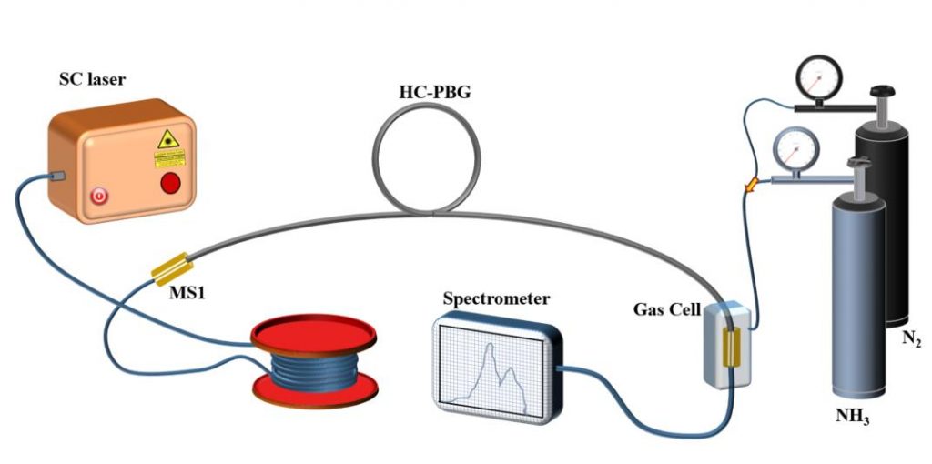 Towards an all-fiber system for detection and monitoring of ammonia