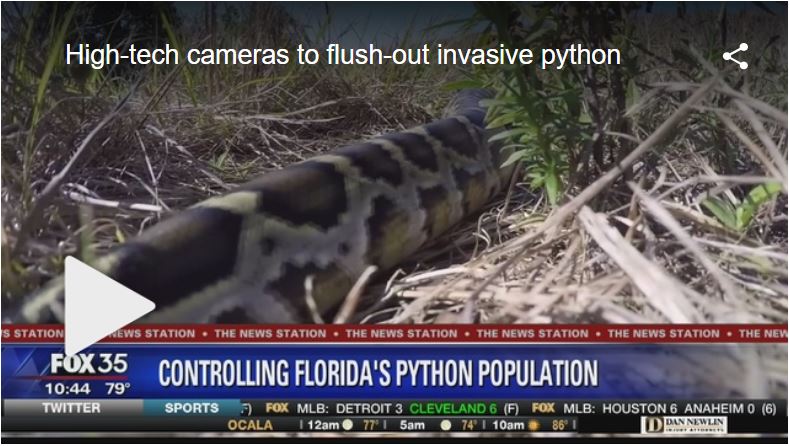 Camera to flush out invasive python