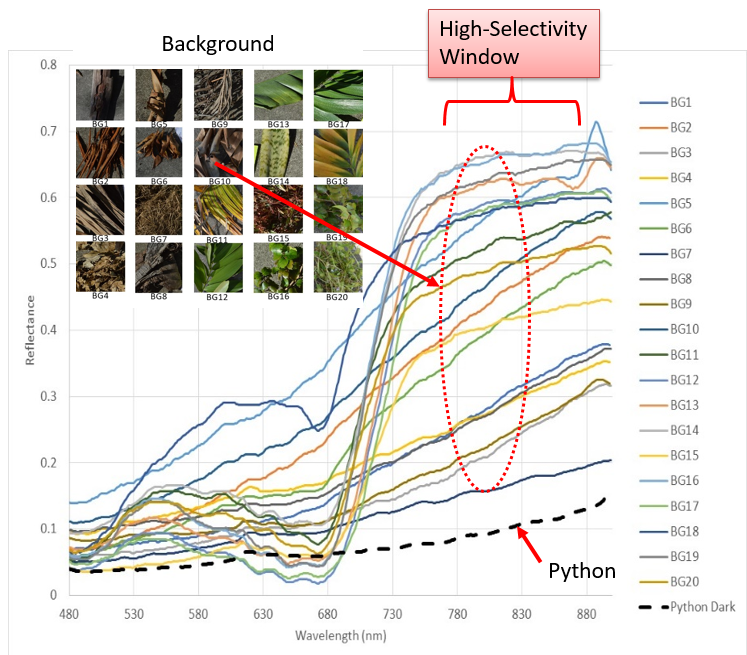 Hyperspectral characterization of pythons and background samples typically found in the everglades