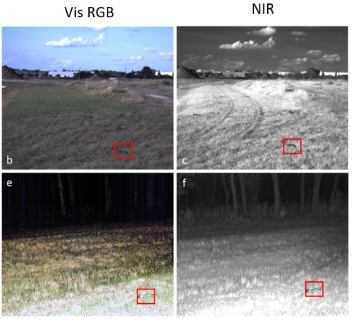 Comparison of visible verse near-infrared imagery used in perception experiments.